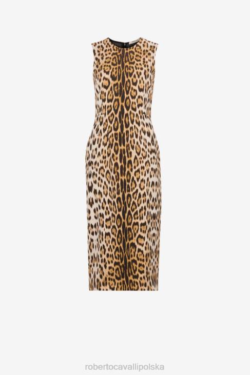 odzież elegancki 6D0R30 kobiety Roberto Cavalli sukienka we wzór jaguara