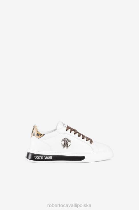 obuwie elegancki 6D0R1087 mężczyźni Roberto Cavalli tenisówka